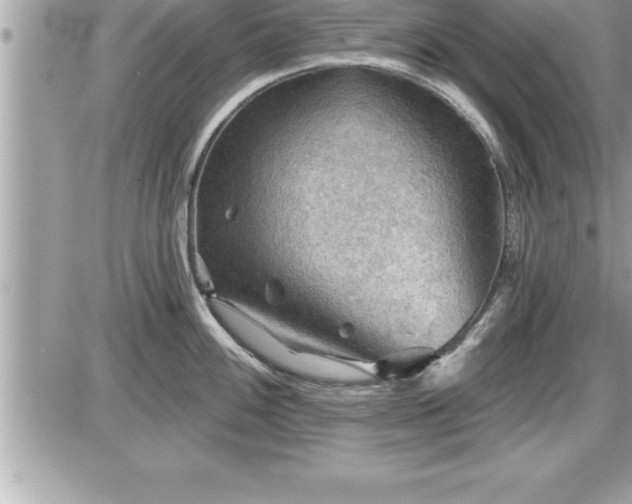 X0000087591100200705041503