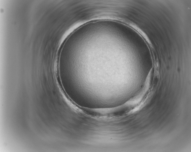 X0000087591101200705041503