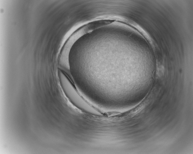 X0000087591102200705041502