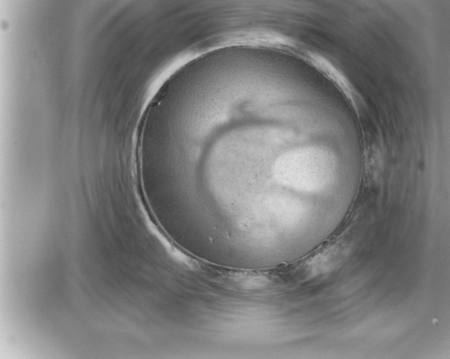 X0000087591103200705041502