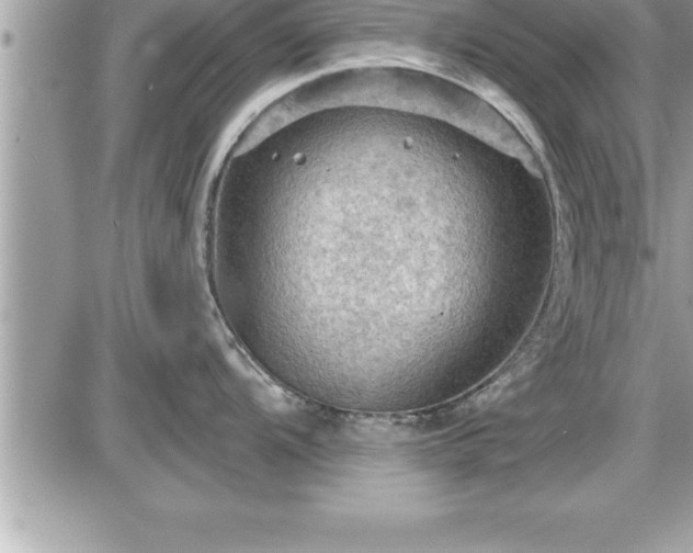 X0000087591104200705041502