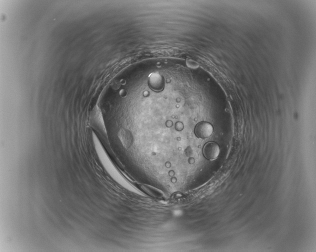 X0000087591106200705041502