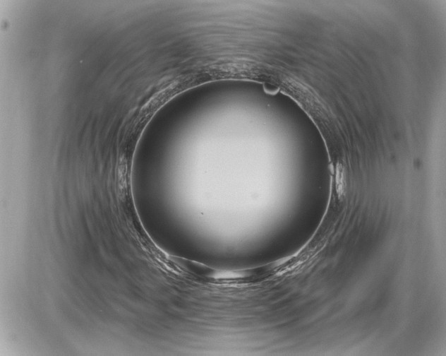 X0000087591107200705041502