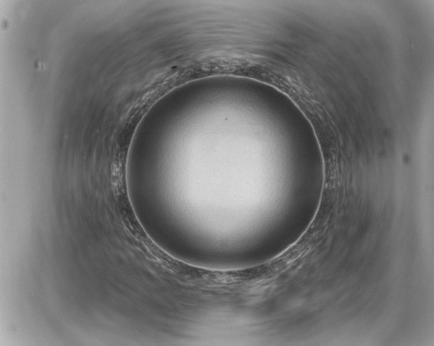 X0000087591109200705041502