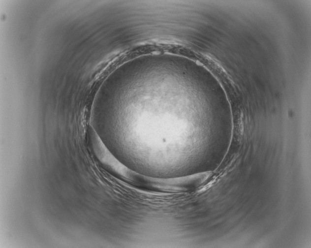 X0000087591110200705041502