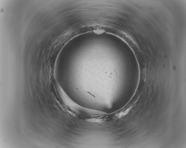 X0000087591111200705041502