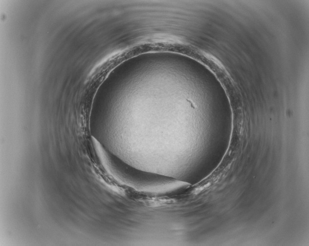 X0000087591112200705041502