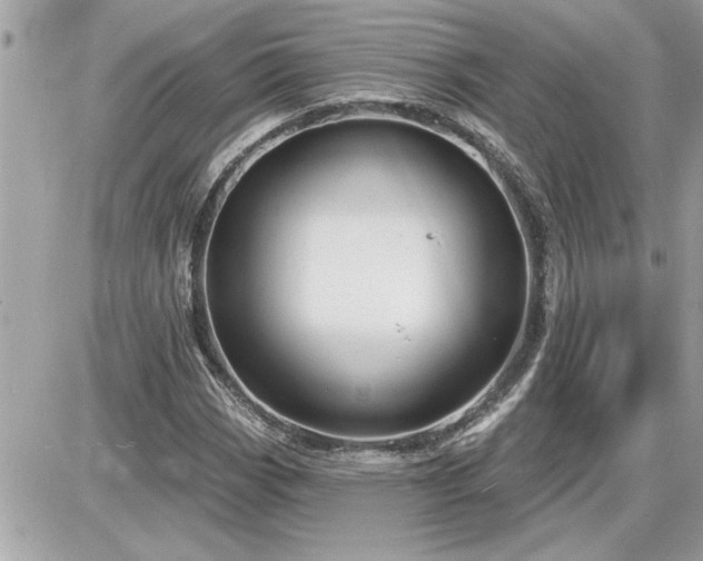 X0000087591113200705041502