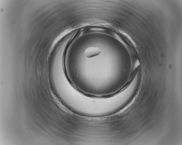 X0000087591114200705041502