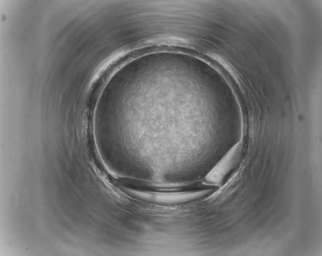 X0000087591115200705041502