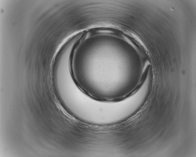 X0000087591116200705041502