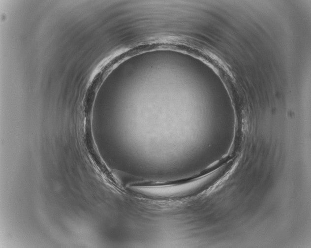 X0000087591117200705041502