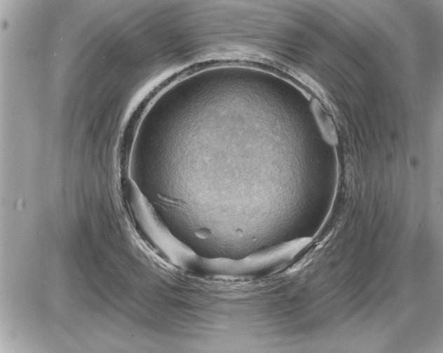 X0000087591120200705041502