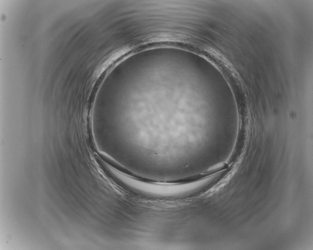 X0000087591121200705041502