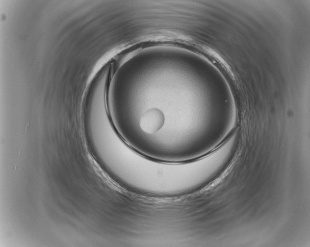 X0000087591122200705041502