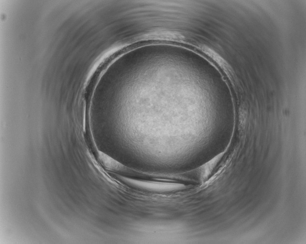 X0000087591123200705041502