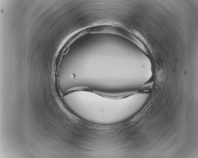 X0000087591124200705041502