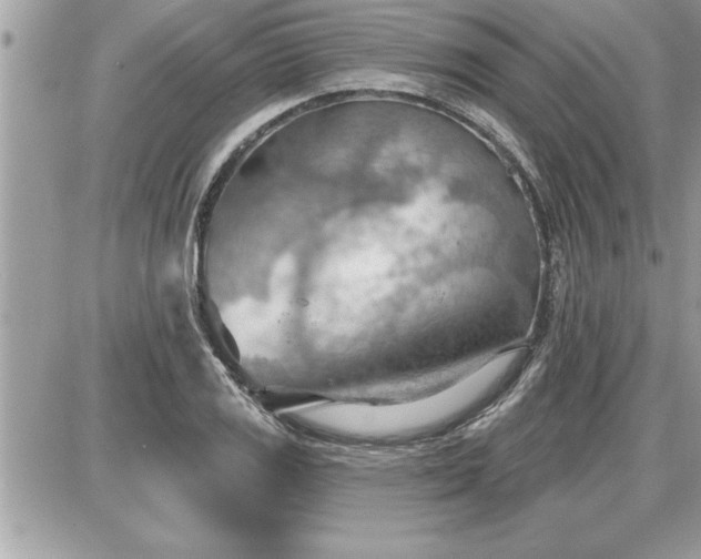 X0000087591125200705041502