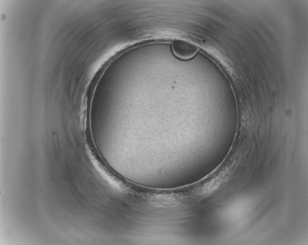 X0000087591126200705041502