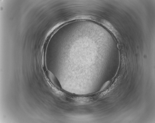 X0000087591127200705041502