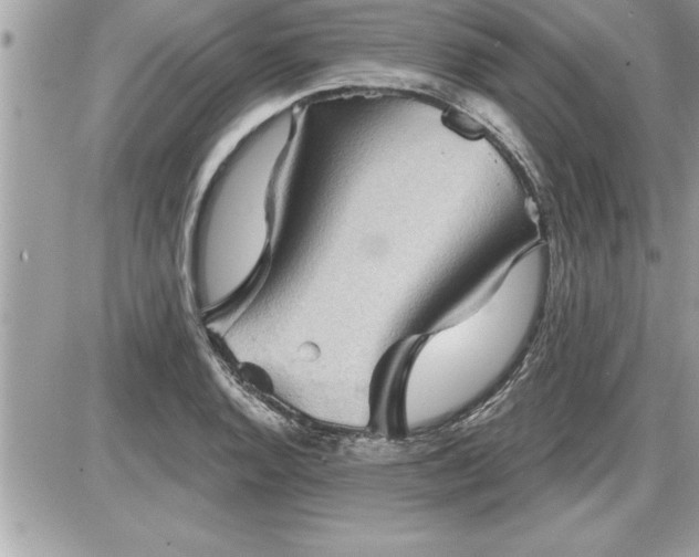 X0000087591128200705041502