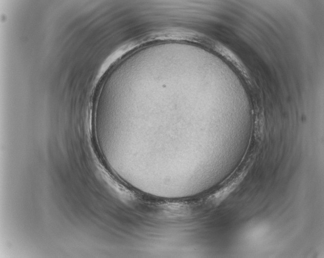 X0000087591130200705041502