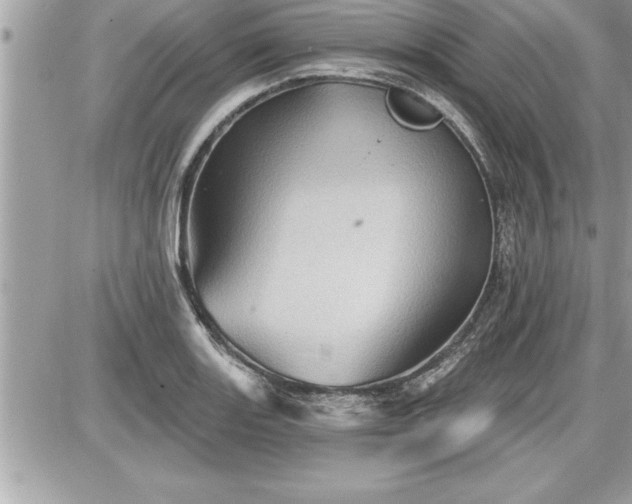 X0000087591131200705041502