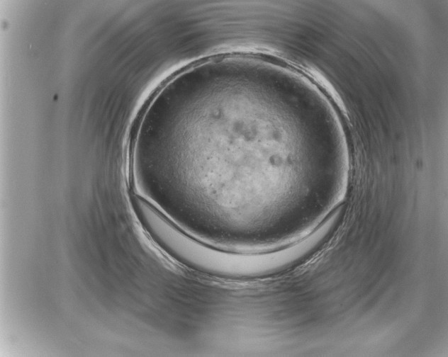 X0000087591132200705041502