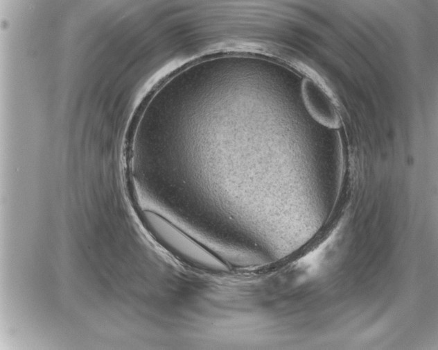 X0000087591133200705041502