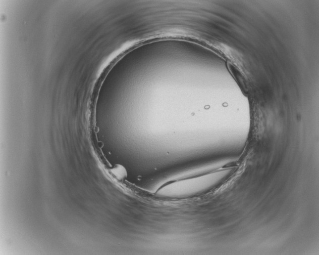 X0000087591134200705041502