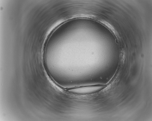 X0000087591135200705041502