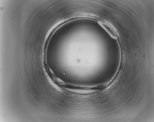 X0000087591136200705041502