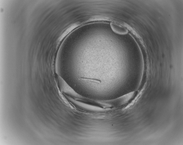 X0000087591137200705041502