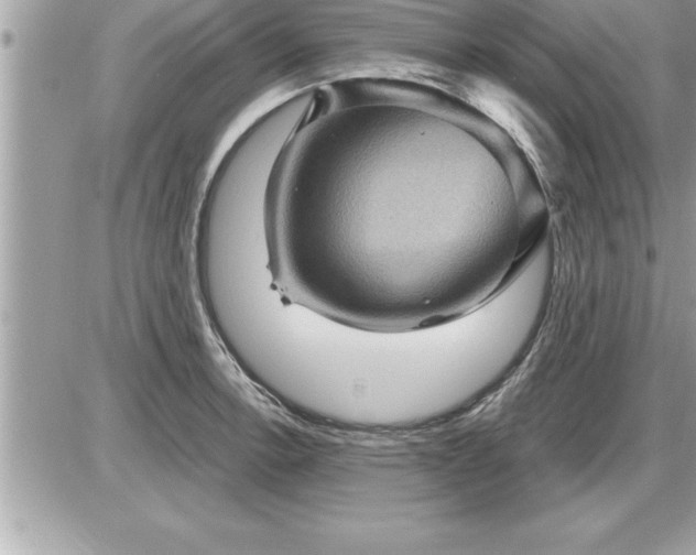 X0000087591138200705041502