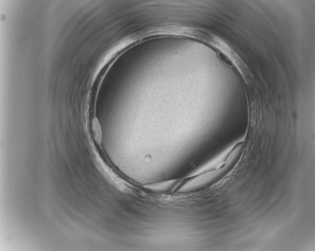 X0000087591139200705041502