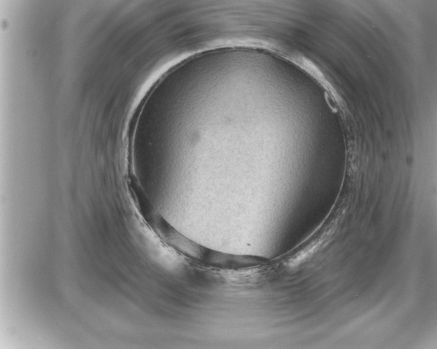 X0000087591140200705041502