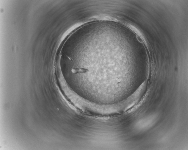 X0000087591141200705041502