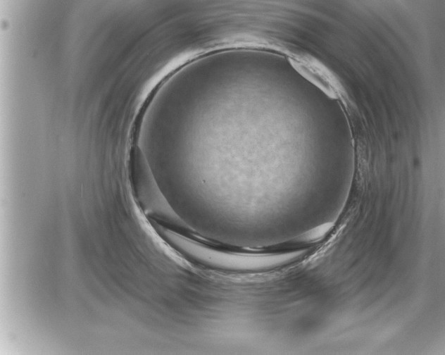 X0000087591142200705041502