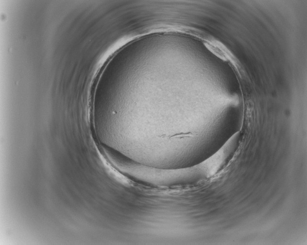 X0000087591143200705041502