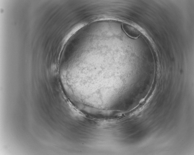 X0000087591145200705041502