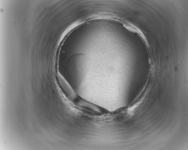 X0000087591146200705041502