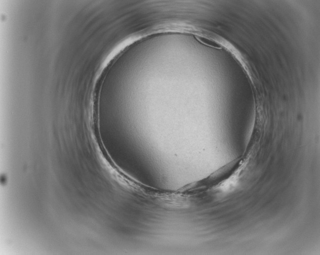 X0000087591147200705041502