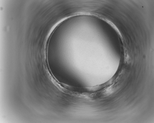 X0000087591148200705041502