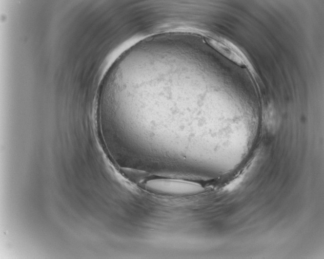 X0000087591149200705041502