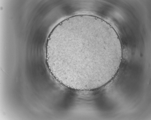 X0000087591150200705041502