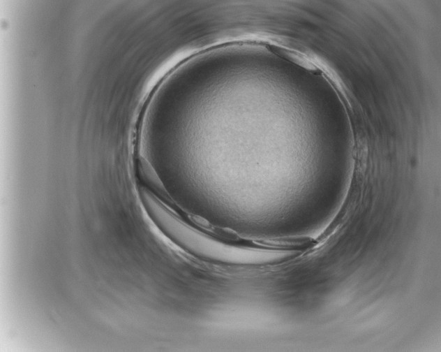 X0000087591151200705041502