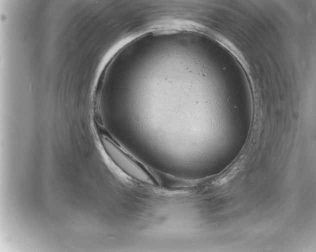 X0000087591152200705041502