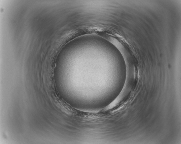 X0000087591153200705041502