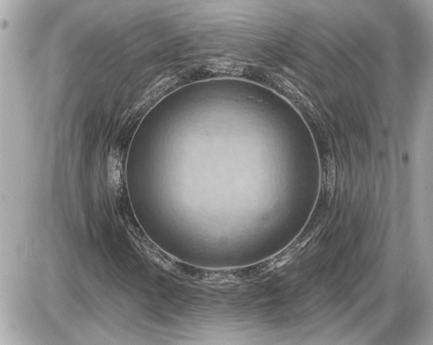 X0000087591154200705041502