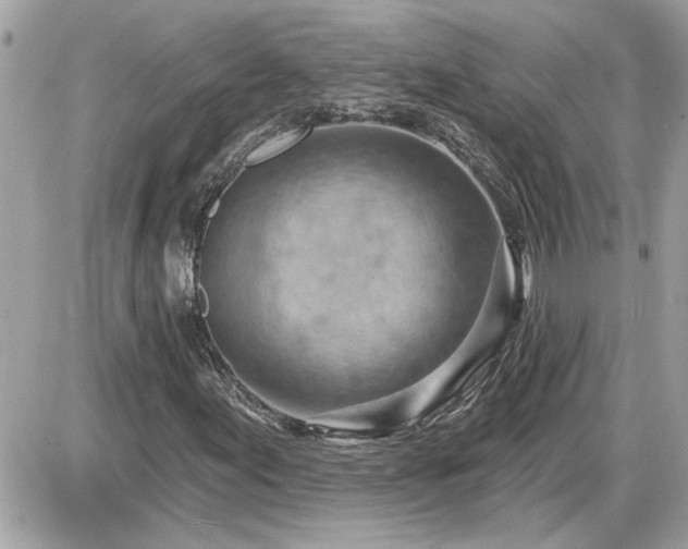 X0000087591155200705041502